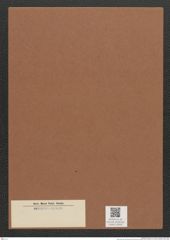 Diatomeae indet. Zeichnungen Sammlung Grunow Mappe 03458 (Herbarium_W_Grunow_drawings_Folder_03458)
